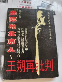 王朔再批判