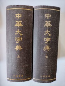 中华大字典（缩印本全二册）中华书局