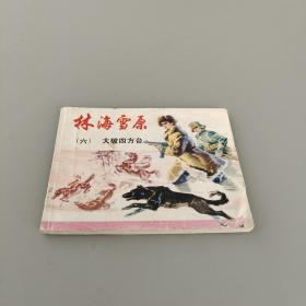 林海雪原（六）大破四方台