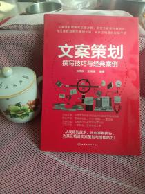 文案策划：撰写技巧与经典案例