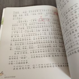 我是一只狐狸狗（注音版1我的名字叫斯诺）