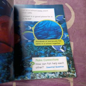 Reading/Writing(G1-U4)