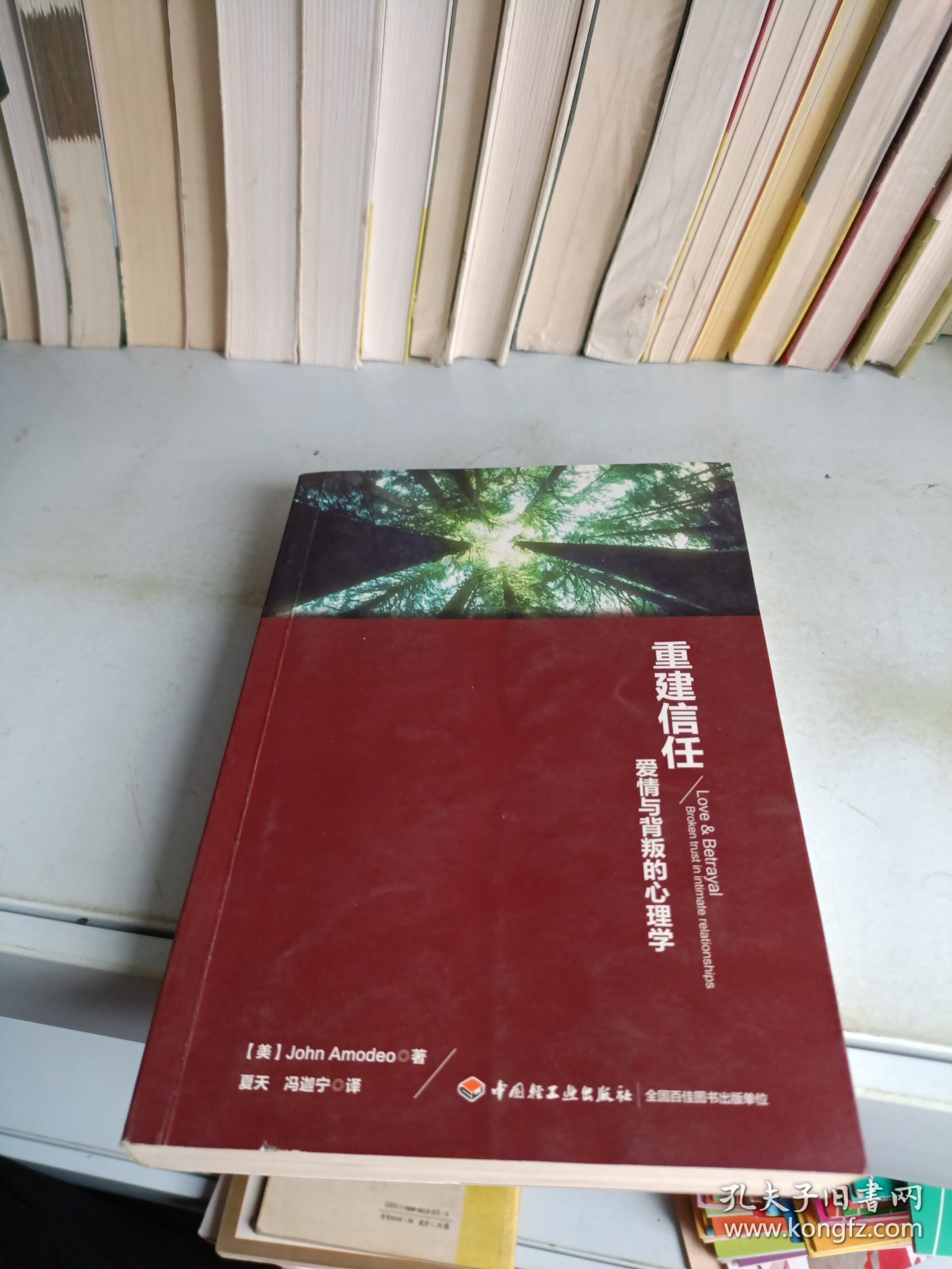 重建信任:爱情与背叛的心理学