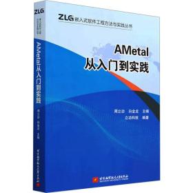 ametal从入门到实践 软硬件技术 作者