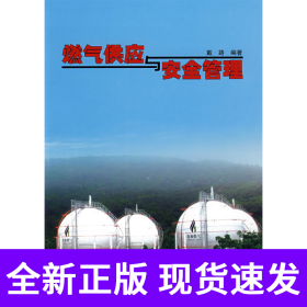 燃气供应与安全管理