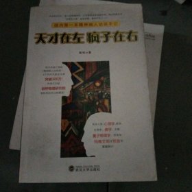 天才在左 疯子在右：国内第一本精神病人访谈手记