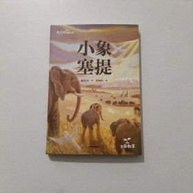 小象塞提