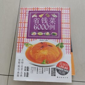 特色家常菜分步详解6000例