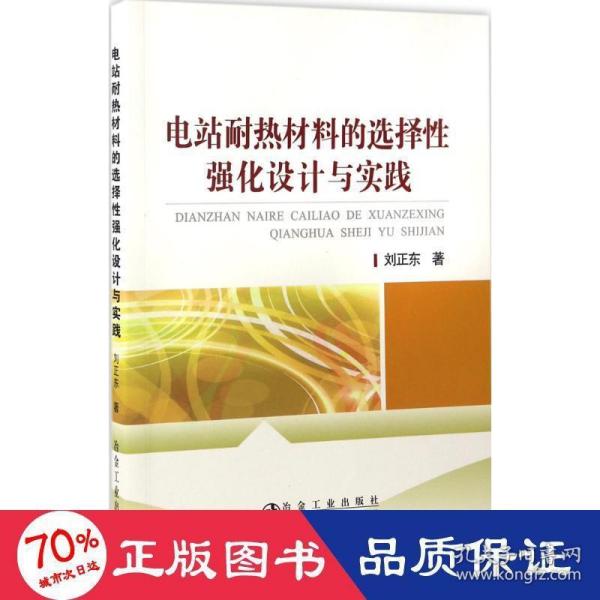 电站耐热材料的选择性强化设计与实践