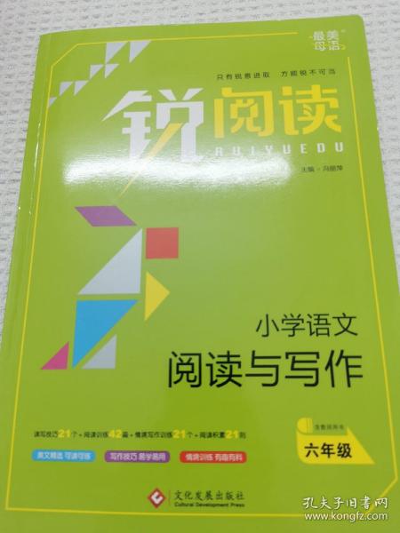 锐阅读 小学语文阅读与写作：六年级