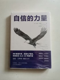 自信的力量：深度瓦解习惯性自卑，让人生所向披靡（未拆封）