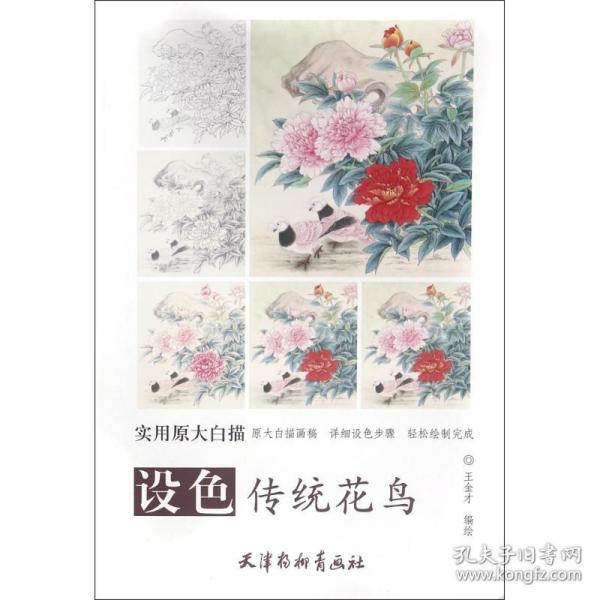 实用原大白描 设色传统花鸟(大8K)/实用原大白描/王金才