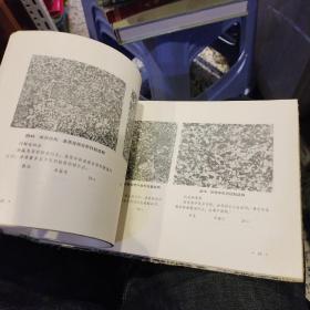 吉林省岩石结构图册   吉林省地质科学研究所编 出版社:  吉林省人民出版社