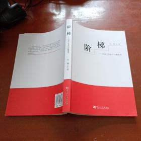 阶梯：司法工作若干问题研究