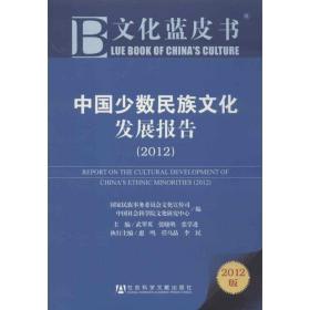 文化蓝皮书：中国少数民族文化发展报告（2012）