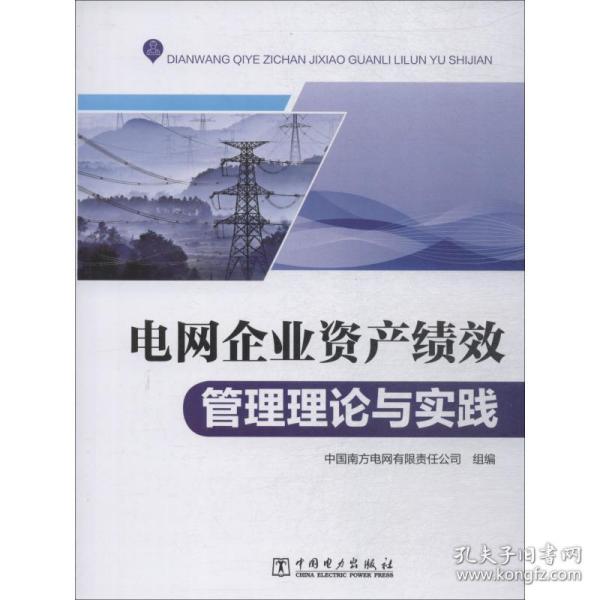 电网企业资产绩效管理理论与实践