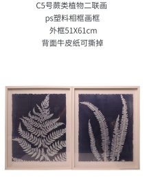 20250114J05 蕨类植物2联装饰画 外框尺寸：52*61 厘米 出口品质 带玻璃