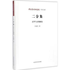 二分集:文学与摭论 中国现当代文学理论 王能宪 新华正版