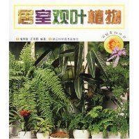 居室观叶植物/家庭花园丛书(家庭花园丛书)梅慧敏9787534117268浙江科学技术出版社