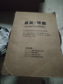 真实可能中央美术学院油画系当代艺术研修班