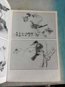 国画小品:[画册]/我怎样画翎毛