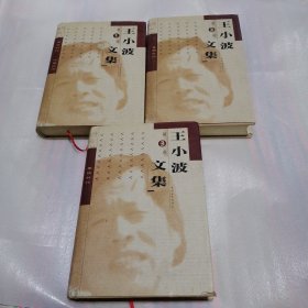 王小波文集 （1－3 三册合售）