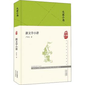 大家小书  新文学小讲（精）