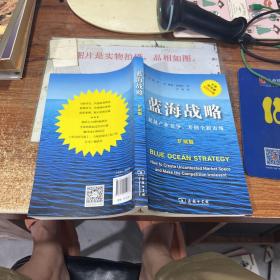 蓝海战略（扩展版）：超越产业竞争，开创全新市场