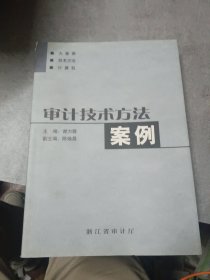 审计技术方法案例