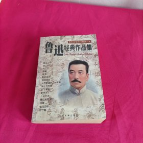 鲁迅经典作品集