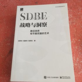 SDBE战略与洞察：路径选择和节奏把握的艺术(没有外书衣)