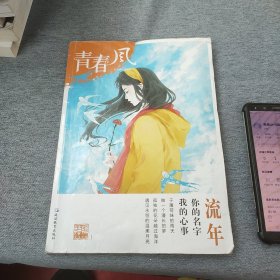 疯狂阅读 青春风特辑1 流年（年刊）（2018版）--天星教育