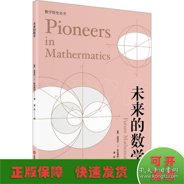 未来的数学（数学简史丛书）