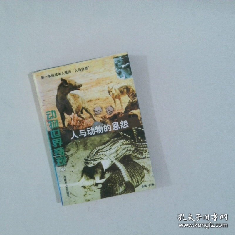 动物世界奇观人与动物的恩怨下