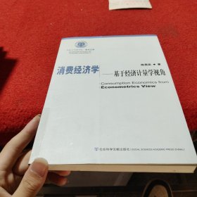 消费经济学：基于经济计量学视角