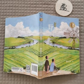 野风车/曹文轩小说集