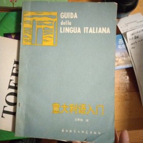 意大利语入门，学习意大利语必备的书。