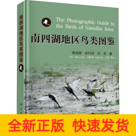 南四湖地區(qū)鳥類圖鑒