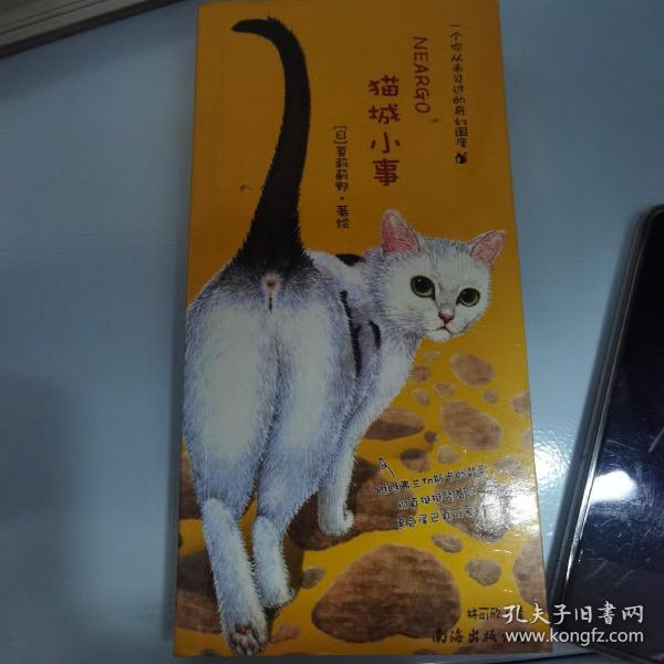 猫城小事