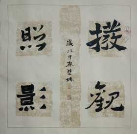 书画名家笔墨真迹，当代著名禅意书画家贾双林书法作品:拨观照影