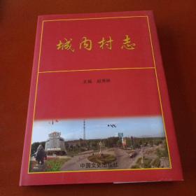 城内村志(山西定襄)