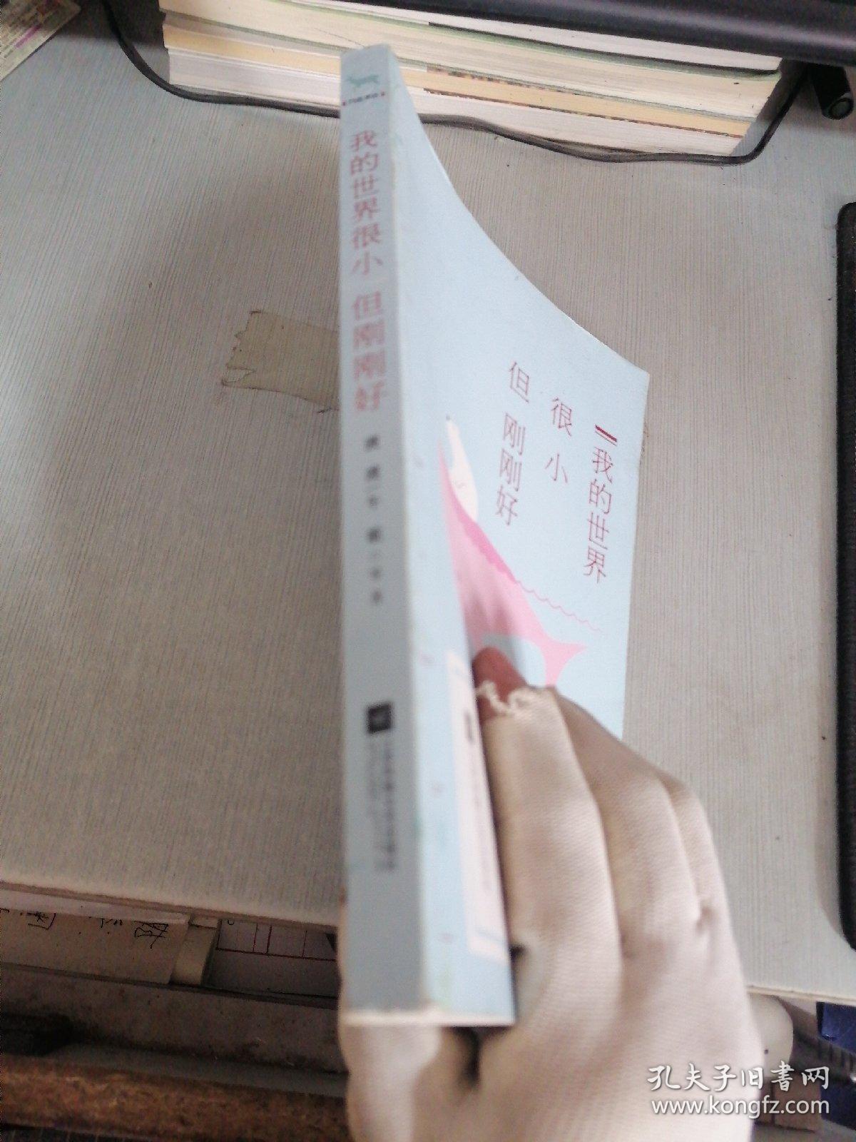 我的世界很小，但刚刚好