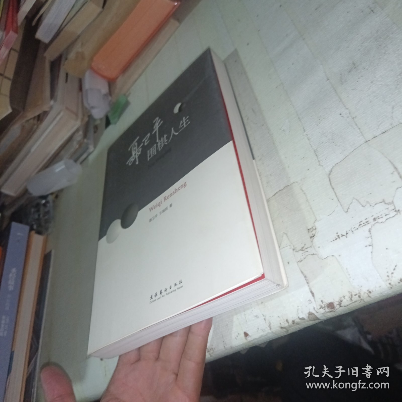 聂卫平：围棋人生