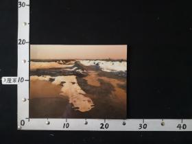 AZP-1561朱世良《未来的变相》摄影照片