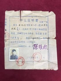 1959年山东省青岛第二十中学毕业证明书，尺寸：27*24厘米，品如图，80包邮。