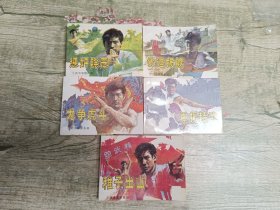 武术家霍东阁1-5全合售