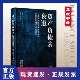资产负债表衰退：日本在经济学未知领域的探索及其对全球的启示 9787564243005