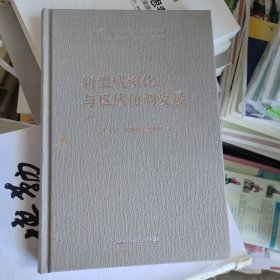 新型城镇化与区域协调发展（中国式现代化研究丛书）
