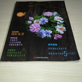 KaKa手工生活37*