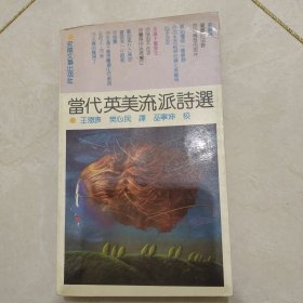 代英美流派诗选